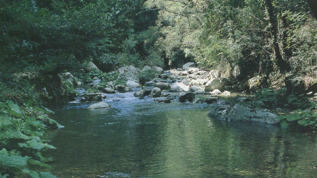 B&B Il Melograno Tortorella Luaran gambar