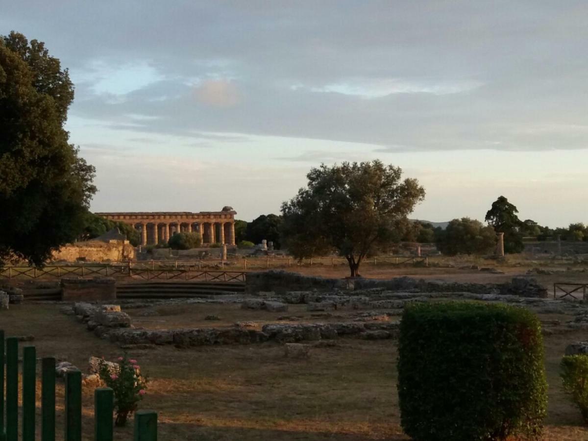 B&B Il Melograno Tortorella Luaran gambar