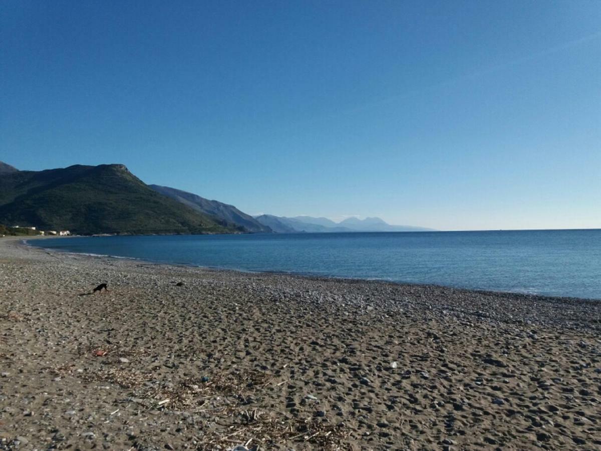 B&B Il Melograno Tortorella Luaran gambar
