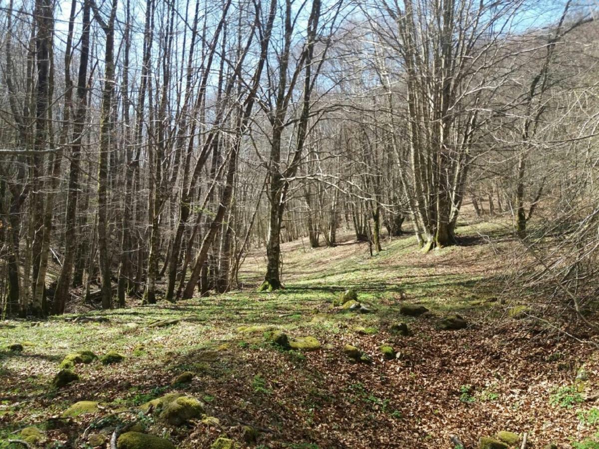 B&B Il Melograno Tortorella Luaran gambar