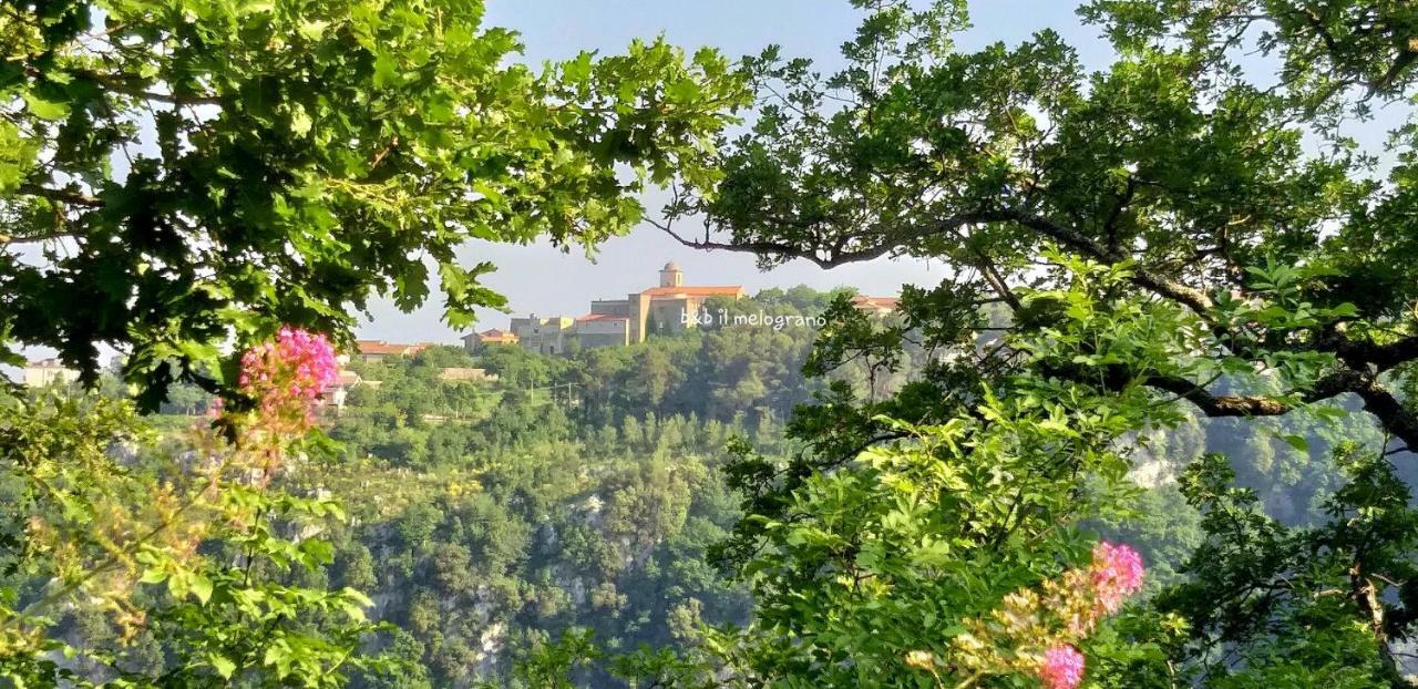 B&B Il Melograno Tortorella Luaran gambar