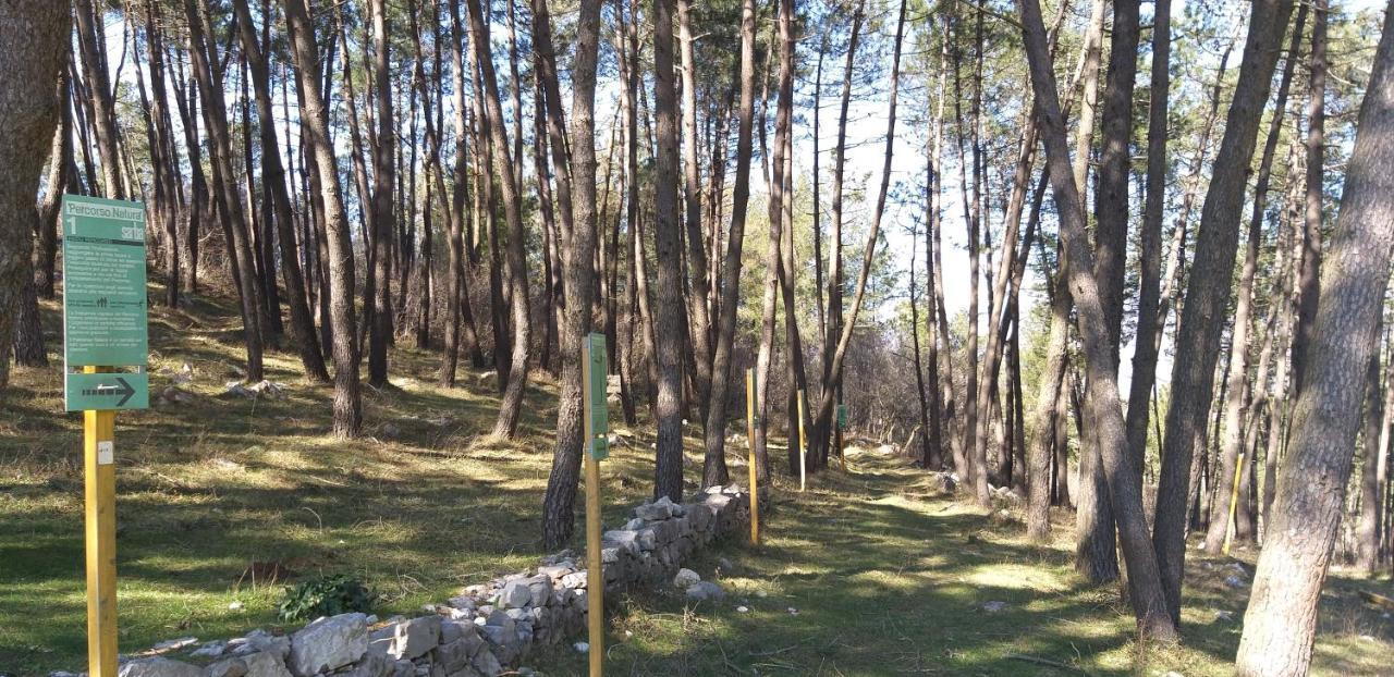 B&B Il Melograno Tortorella Luaran gambar